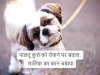 post